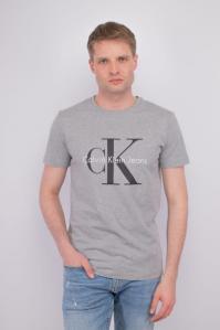 T-shirt męski Calvin Klein Jeans ZM0ZM01443 szary
