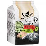 Pakiet Sheba Fresh Cuisine Taste of Rome, 12 x 50 g - Kurczak i indyk