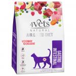 4Vets Natural Feline Gastro Intestinal - 2 x 1 kg