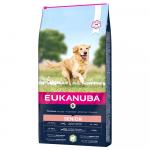 Eukanuba Senior Large & Giant Breed, jagnięcina i ryż - 12 kg