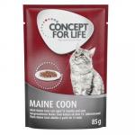 Concept for Life Maine Coon Adult, ragout - 48 x 85 g