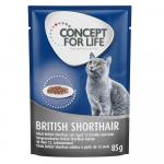 Concept for Life British Shorthair Adult, ragout - 48 x 85 g