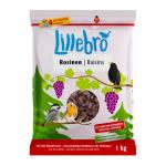 Lillebro Rodzynki - 3 x 1 kg