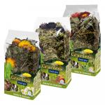 JR Farm Grainless Snack plus w pakiecie przysmak dla królików i gryzoni - 6 x 300 g
