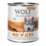 Wolf of Wilderness Adult \