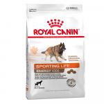 Royal Canin Sporting Life Energy Trail 4300 dla psów - 2 x 15 kg