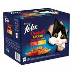 Felix Fantastic 2 smaki, w galarecie, So gut wie es aussieht, 24 x 85 g - Mięsny mix