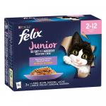 Felix Junior, w galarecie, So gut wie es aussieht, 48 x 85 g - 4 smaki