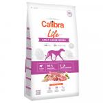 Calibra Dog Life Adult Large Breed Lamb - wygodne opakowanie 2 x 12 kg