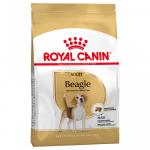 Royal Canin Beagle Adult - 2 x 12 kg