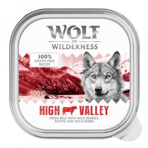 Wolf of Wilderness Adult, 6 x 300 g - High Valley - wołowina