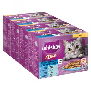 Pakiet Whiskas Duo, saszetki, 48 x 85 g - Ocean Delights w galarecie