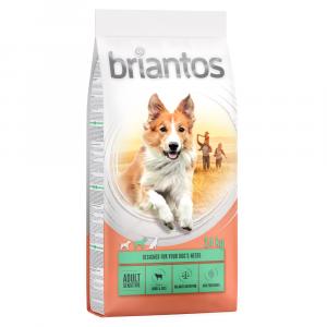 10% taniej! Briantos, karma sucha, 12 kg / 14 kg - Adult Sensitive, jagnięcina i ryż, 14 kg