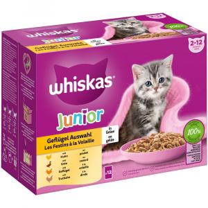 Whiskas Junior w saszetkach, 12 x 85 g - Wybór dań drobiowych w galarecie