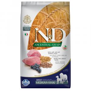 Dwupak Farmina - N&D Ancestral Grain Adult Medium & Maxi, jagnięcina i czarna jagoda