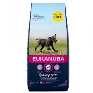 15 + 3 kg gratis! Eukanuba, karma sucha dla psa, 18 kg - Puppy Large Breed, kurczak