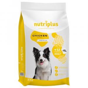 Podwójne zoopunkty! Nutriplus, karma sucha, 3 kg / 15 kg - Adult Dog, z kurczakiem, 3 kg