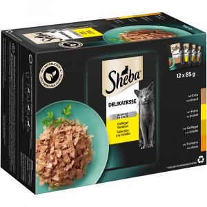 Megapakiet Sheba Delicato, 48 x 85 g - Wybór Drobiowy w galarecie