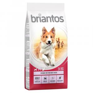 10% taniej! Briantos, karma sucha, 12 kg / 14 kg - Adult, łosoś i ryż, 14 kg