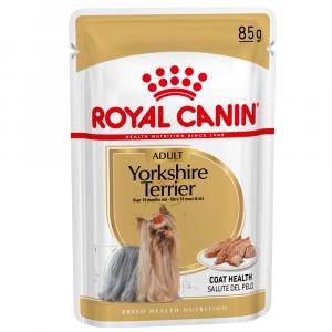 Royal Canin Yorkshire Terrier, mus - 24 x 85 g