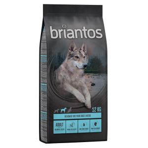 10% taniej! Briantos, karma sucha, 12 kg / 14 kg - Adult, łosoś z ziemniakami, bez zbóż, 12 kg