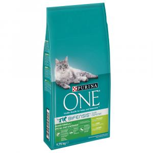 8 + 1,75 kg gratis! Purina ONE, karma sucha dla kota, 9,75 kg - Indoor Formula