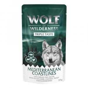 Wolf of Wilderness \