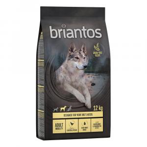 10% taniej! Briantos, karma sucha, 12 kg / 14 kg - Adult Mobility, kurczak z ziemniakami, bez zbóż, 12 kg