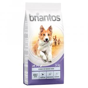 10% taniej! Briantos, karma sucha, 12 kg / 14 kg - Adult Active, 14 kg