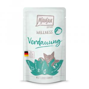 MjAMjAM Wellness, 12 x 125 g - Trawienie - Wołowina