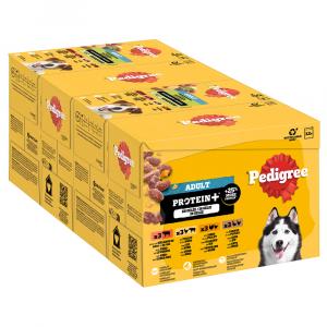 Pedigree Adult Protein Plus w saszetkach, w galarecie - 48 x 85 g (4 smaki)