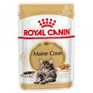 Megapakiet Royal Canin, 24 x 85 g - Breed Maine Coon Adult w sosie