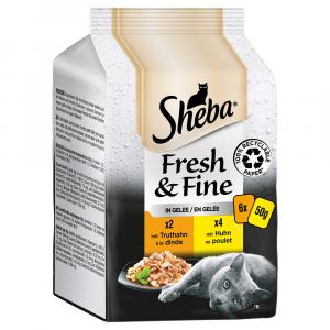 Korzystny pakiet Sheba Fresh & Fine, 12 x 50 g - Indyk i kurczak w galarecie