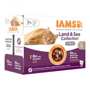 36 + 12 gratis! IAMS Advanced Nutrition, karma mokra dla kota, 48 x 85 g - Senior Land & Sea Collection w sosie