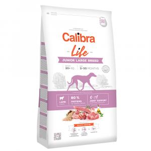 Calibra Dog Life Junior Jagnięcina dla dużych ras - 12 kg
