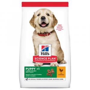 Dwupak Hill's - Puppy