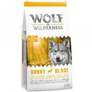 Korzystny pakiet Wolf of Wilderness, 2 x 12 kg - Adult Mix: jagnięcina, łosoś