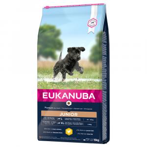 10% taniej! Eukanuba, sucha karma dla psa, 15 kg - Junior Large Breed, kurczak