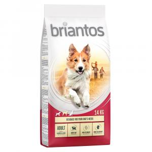 10% taniej! Briantos, karma sucha, 12 kg / 14 kg - Adult, kurczak i ryż, 14 kg