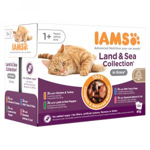 Pakiet mieszany IAMS Advanced Nutrition Adult, Land & Sea - W sosie, 12 x 85 g