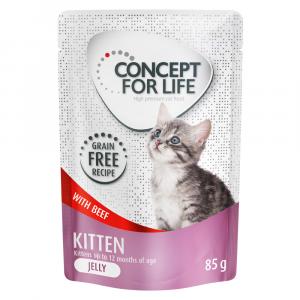 Concept for Life Kitten w galarecie, wołowina - bez zbóż - 24 x 85 g