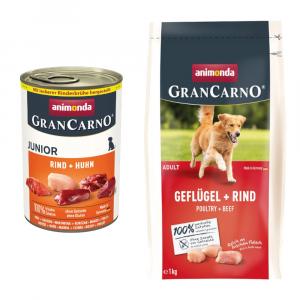 Animonda GranCarno Original: karma mokra, 6 x 400 g + karma sucha, drób + wołowina, 1 kg gratis! - Junior, wołowina i kurczak