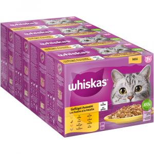 Megapakiet Whiskas Senior, saszetki, 144 x 85 g - 7+ Wybór dań drobiowych w galarecie