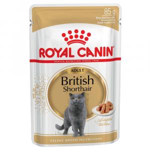 Uzupełnienie: Mokra karma Royal Canin - Breed British Shorthair Adult w sosie, 12 x 85 g