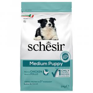 Schesir Dog Dry Medium Puppy, z kurczakiem - 2 x 3 kg