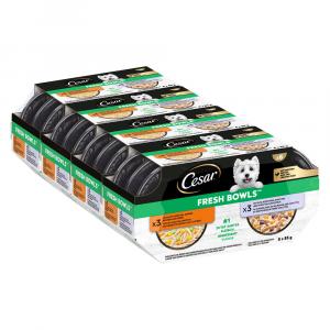 Cesar Fresh Bowls - Kurczak i kaczka w sosie (96 x 85 g)