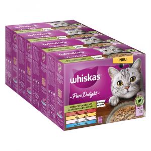 Pakiet Whiskas Pure Delight, saszetki, 48 x 85 g - Pakiet mieszany: Ragout w galarecie