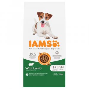 IAMS Advanced Nutrition Adult Small & Medium Dog z jagnięciną - 12 kg