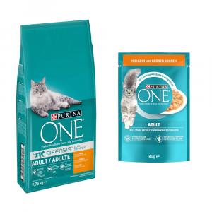 Purina ONE: 9,75 kg karma sucha + karma mokra, 13 x 85 g gratis! - Adult, kurczak ze zbożem pełnoziarnistym + Adult, kurczak z zieloną fasolką