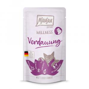 MjAMjAM Wellness, 12 x 125 g - Trawienie - Kurczak